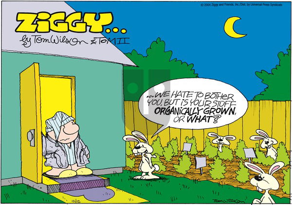 Ziggy on Sunday December 12, 2004 Comic Strip