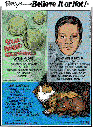 Ripley's Believe It or Not on Saturday December 25, 2010 Comic Strip