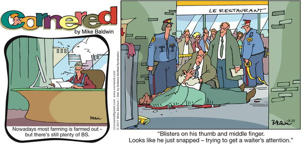 Cornered on Sunday August 20, 2017 Comic Strip