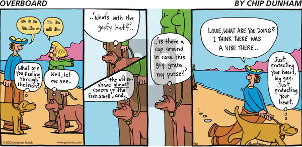 Overboard on Sunday March 11, 2012 Comic Strip