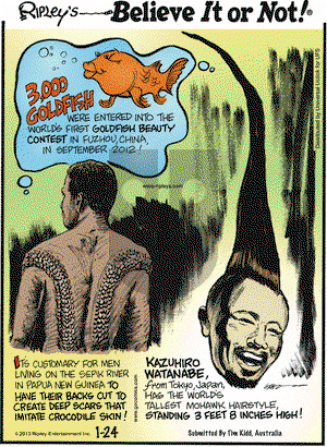 Ripley's Believe It or Not on Thursday January 24, 2013 Comic Strip