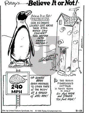 Ripley's Believe It or Not on Wednesday March 13, 1996 Comic Strip