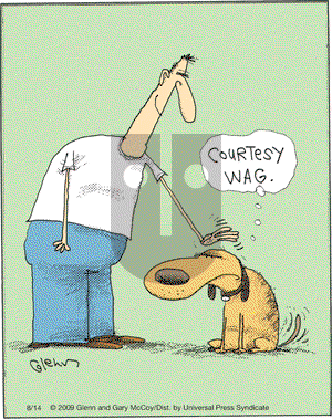 The Flying McCoys on Friday August 14, 2009 Comic Strip