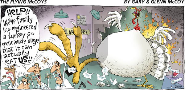 The Flying McCoys on Sunday November 21, 2010 Comic Strip