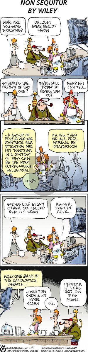 Non Sequitur on Sunday January 8, 2012 Comic Strip