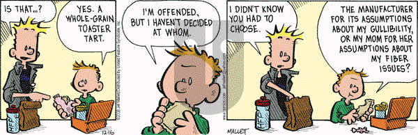 Frazz on Tuesday December 16, 2008 Comic Strip
