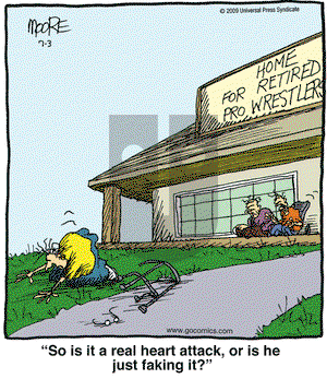 In the Bleachers on Friday July 3, 2009 Comic Strip