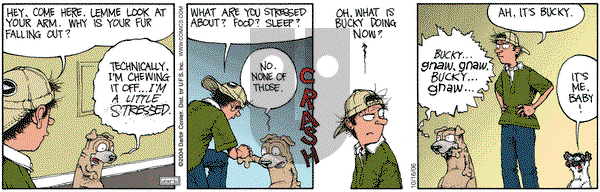 Get Fuzzy on Monday October 16, 2006 Comic Strip