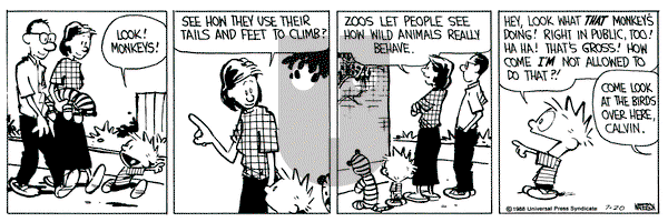 Calvin and Hobbes on Wednesday July 20, 1988 Comic Strip