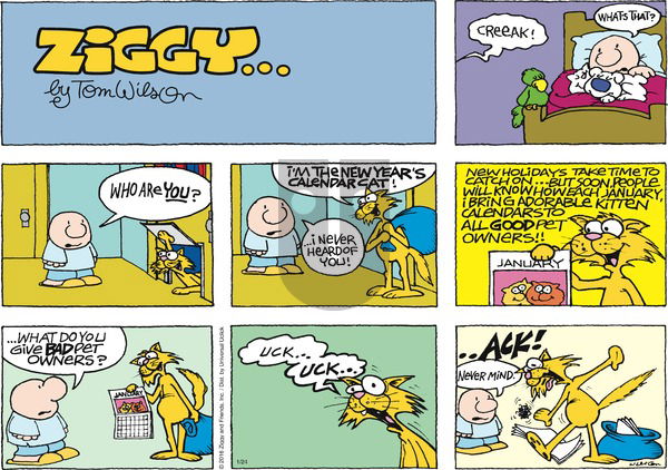 Ziggy on Sunday January 24, 2016 Comic Strip