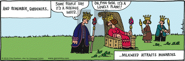 Overboard on Thursday June 2, 2016 Comic Strip