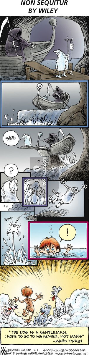 Non Sequitur on Sunday July 1, 2018 Comic Strip