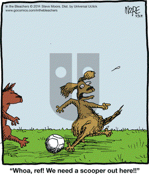 In the Bleachers on Saturday May 24, 2014 Comic Strip