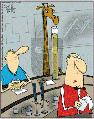 The Flying McCoys on Friday February 16, 2018 Comic Strip