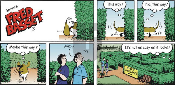 Fred Basset on Sunday August 2, 2020 Comic Strip
