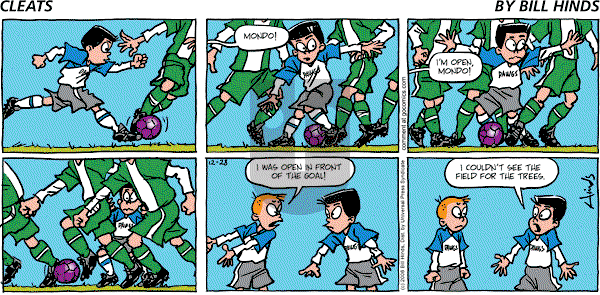 Cleats - Sunday December 28, 2008 Comic Strip