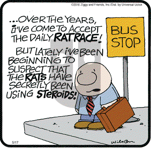 Ziggy on Tuesday May 17, 2016 Comic Strip