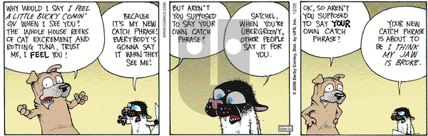 Get Fuzzy on Tuesday December 26, 2006 Comic Strip