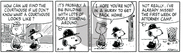Peanuts on Friday August 14, 1992 Comic Strip
