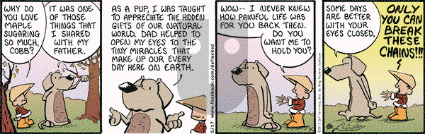 DeFlocked on Friday May 17, 2013 Comic Strip
