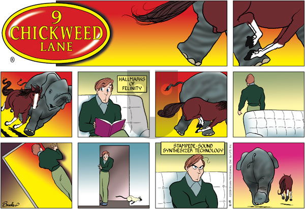 9 Chickweed Lane on Sunday February 15, 2009 Comic Strip