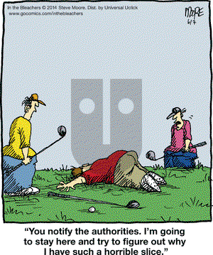 In the Bleachers on Saturday June 7, 2014 Comic Strip