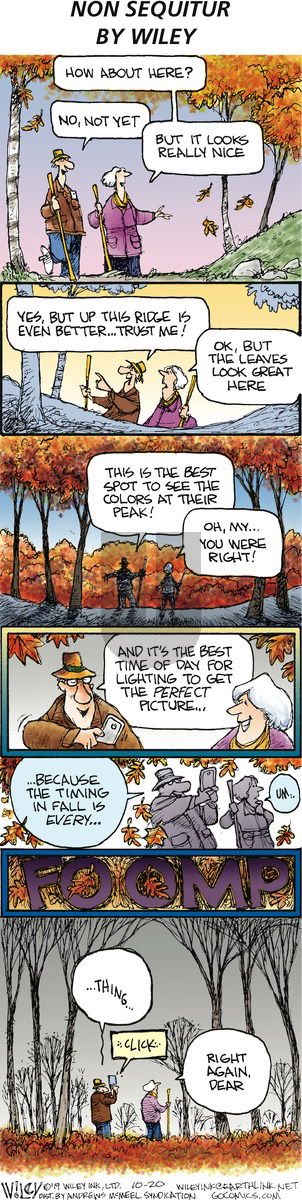 Non Sequitur on Sunday October 20, 2019 Comic Strip