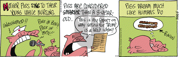 The Knight Life on Wednesday August 24, 2016 Comic Strip