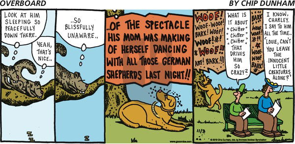 Overboard on Sunday November 3, 2019 Comic Strip