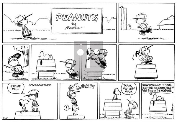 Peanuts on Sunday August 26, 1962 Comic Strip