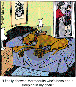 Marmaduke on Monday August 10, 2009 Comic Strip