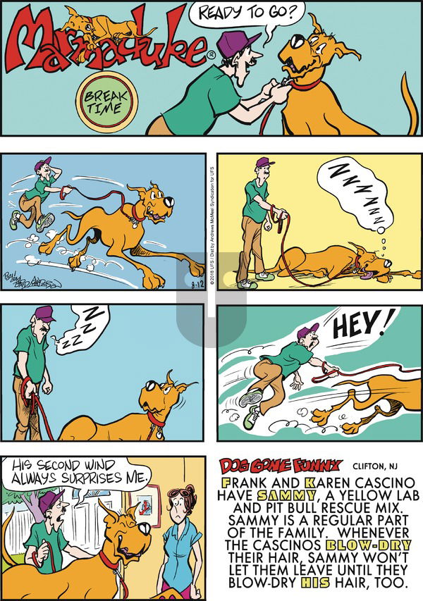 Marmaduke on Sunday August 12, 2018 Comic Strip