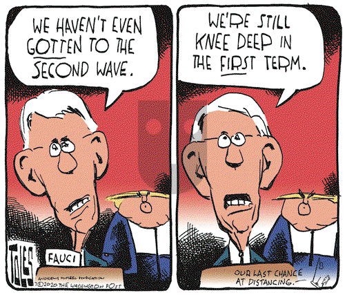 Tom Toles on Wednesday July 8, 2020 Comic Strip