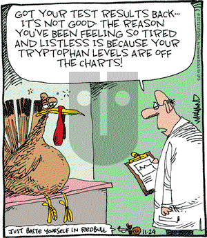 Reality Check on Saturday November 24, 2012 Comic Strip