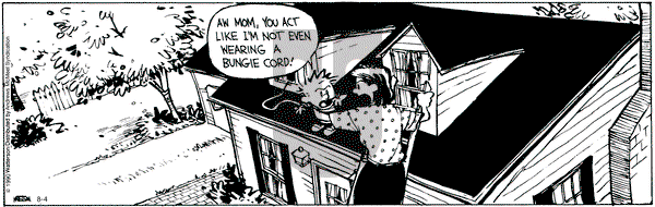 Calvin and Hobbes - Tuesday August 4, 2020 Comic Strip