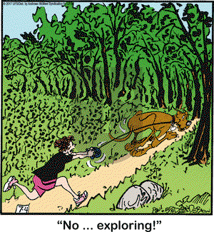 Marmaduke on Tuesday July 4, 2017 Comic Strip