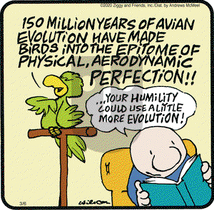 Ziggy on Friday March 6, 2020 Comic Strip