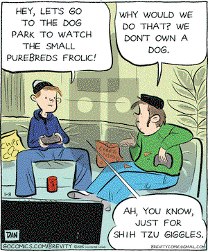Brevity on Saturday January 3, 2015 Comic Strip