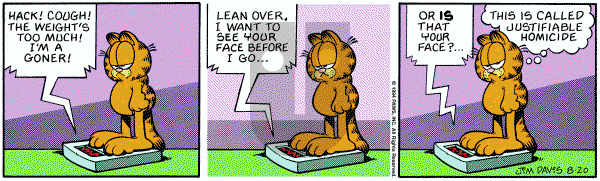 Garfield on Saturday August 20, 1994 Comic Strip