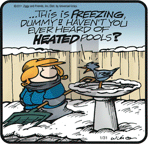 Ziggy on Monday January 31, 2011 Comic Strip