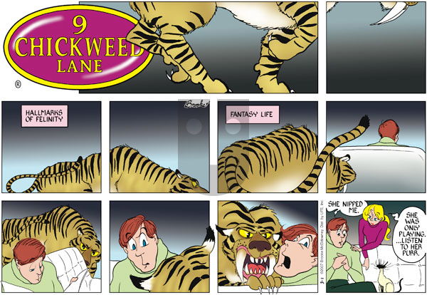 9 Chickweed Lane on Sunday March 1, 2009 Comic Strip
