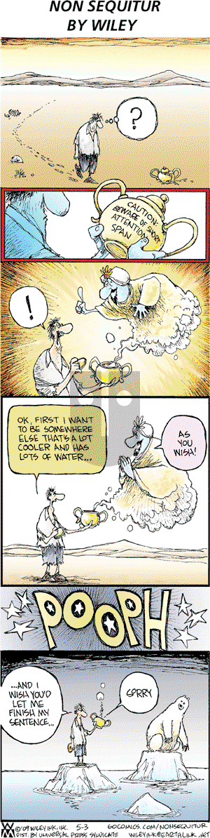 Non Sequitur - Sunday May 3, 2009 Comic Strip