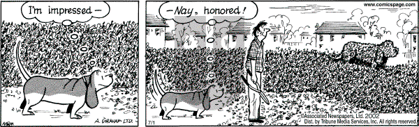 Fred Basset on Tuesday August 19, 2003 Comic Strip
