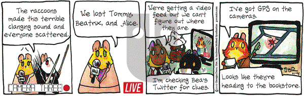 Breaking Cat News on Monday November 4, 2019 Comic Strip