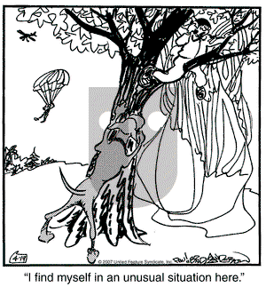 Marmaduke on Thursday January 31, 2008 Comic Strip