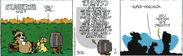 Over the Hedge on Monday April 21, 2008 Comic Strip