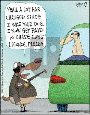 The Flying McCoys on Wednesday February 22, 2012 Comic Strip