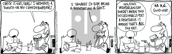 The Duplex on Thursday July 8, 1999 Comic Strip