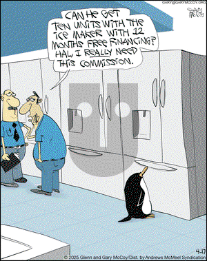 The Flying McCoys on Thursday April 17, 2025 Comic Strip