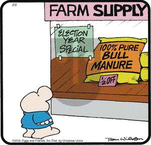 Ziggy on Tuesday February 2, 2016 Comic Strip